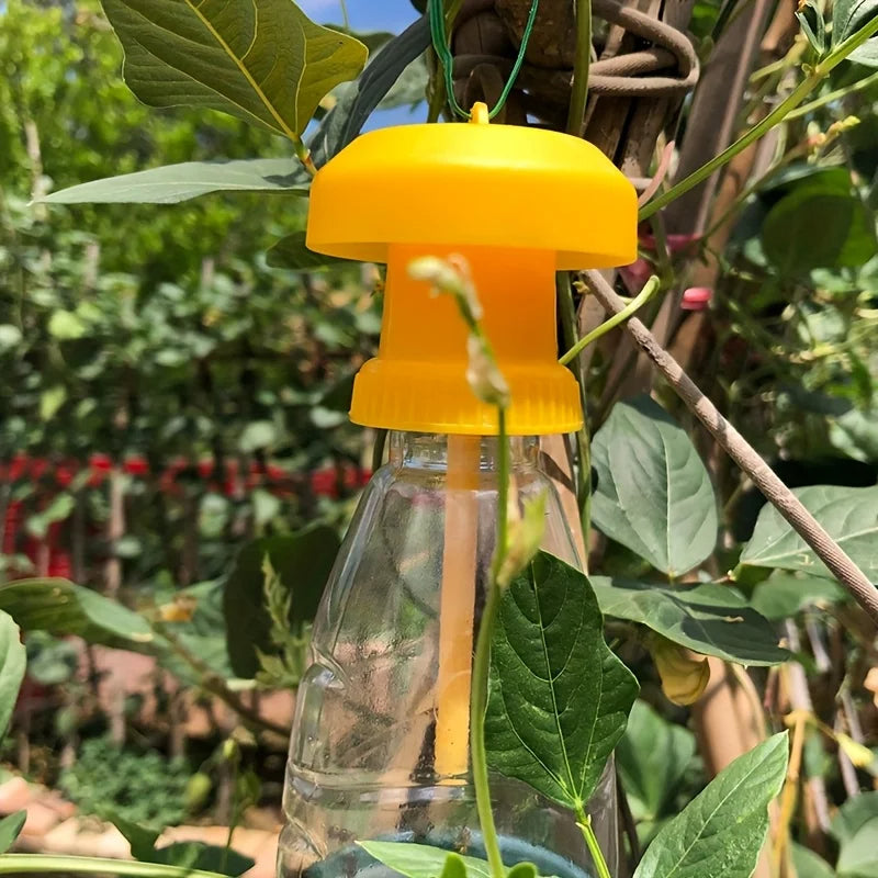 Fruit Fly Trap with Hanging Design for Indoor and Outdoor Use