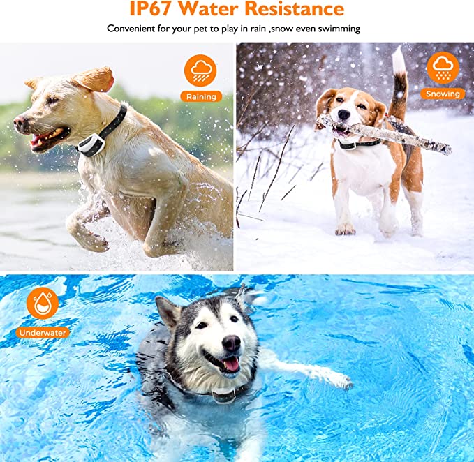 Wireless Dog Fence System with Adjustable Collar for Safe Outdoor Use