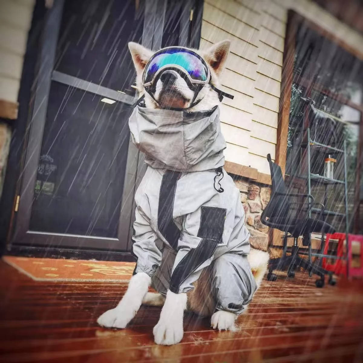 Waterproof Dog Raincoat with Adjustable Hood for Outdoor Use