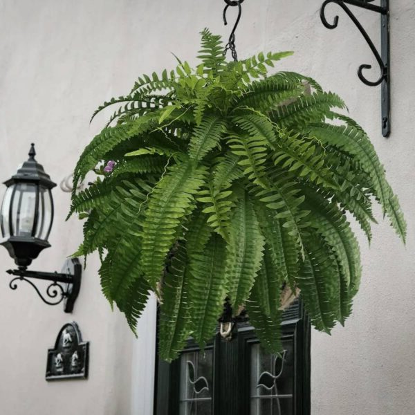 Lifelike UV Resistant Artificial Boston Fern Plant for Home Decor