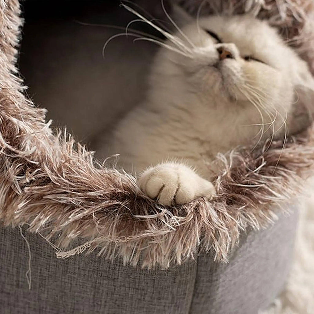 Cozy Fleece Winter Cat Bed - Soft Plush Design for Indoor Cats